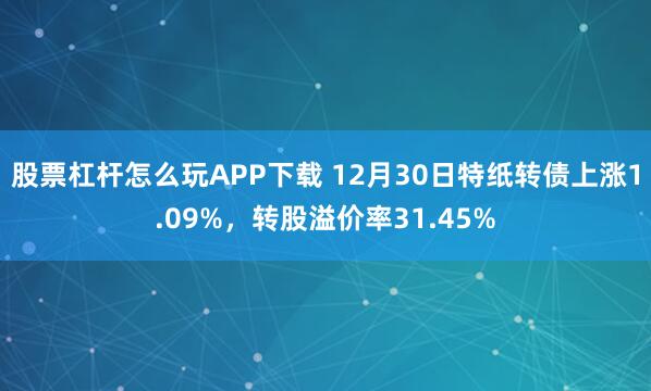 股票杠杆怎么玩APP下载 12月30日特纸转债上涨1.09%，转股溢价率31.45%